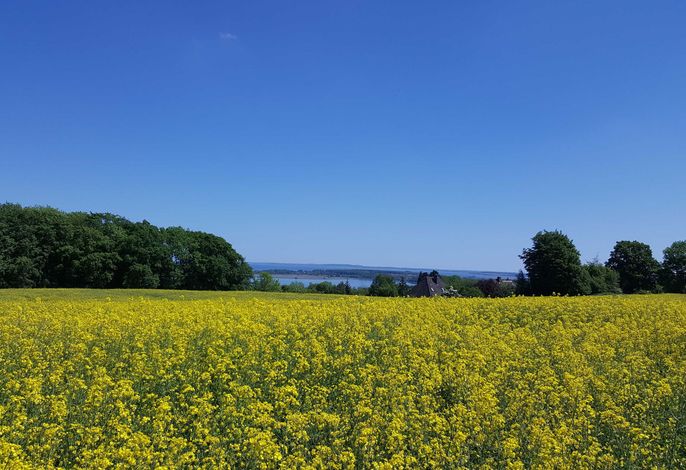 Schnuckelige Ferienwohnung mitten in der Seenplatte