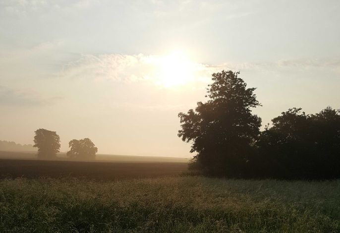 Schnuckelige Ferienwohnung mitten in der Seenplatte