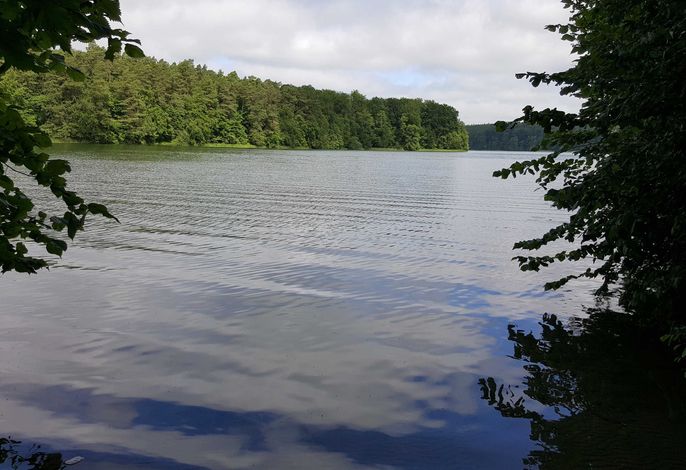 Schnuckelige Ferienwohnung mitten in der Seenplatte