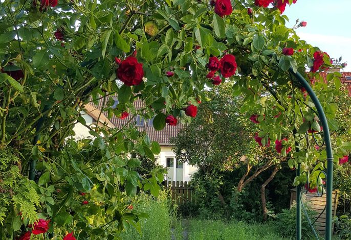 Schnuckelige Ferienwohnung mitten in der Seenplatte