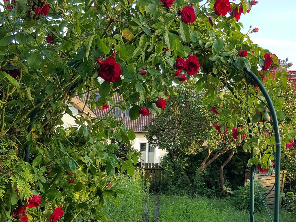 Schnuckelige Ferienwohnung mitten in der Seenplatte