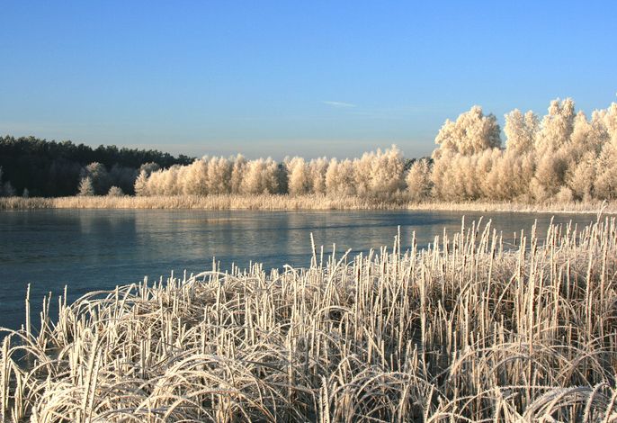 Winterzauber am Dreier See