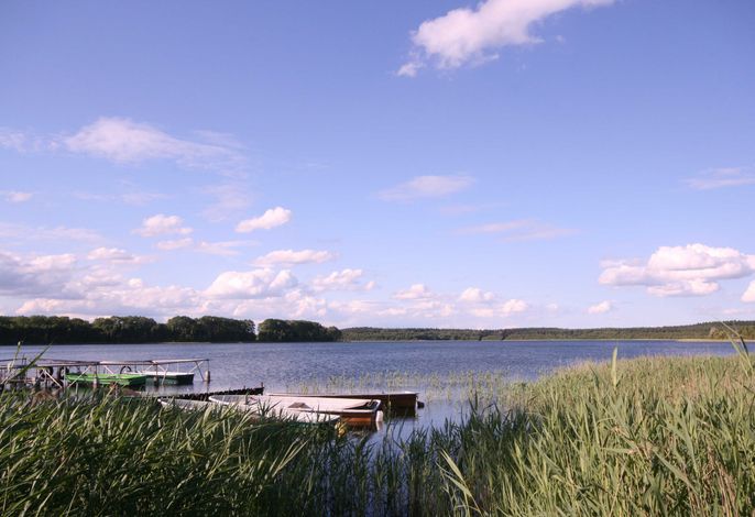 Drewitzer See