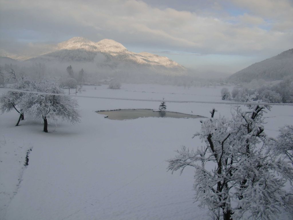 Winterbild mit Blick auf den Golfteich