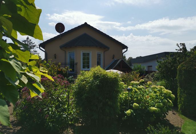 Bild 12