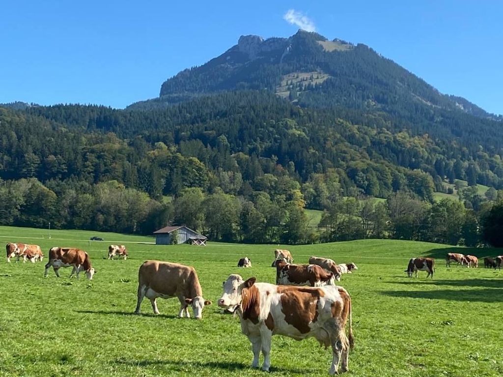 Ferienwohnung Bergzeit - Zollner Priska