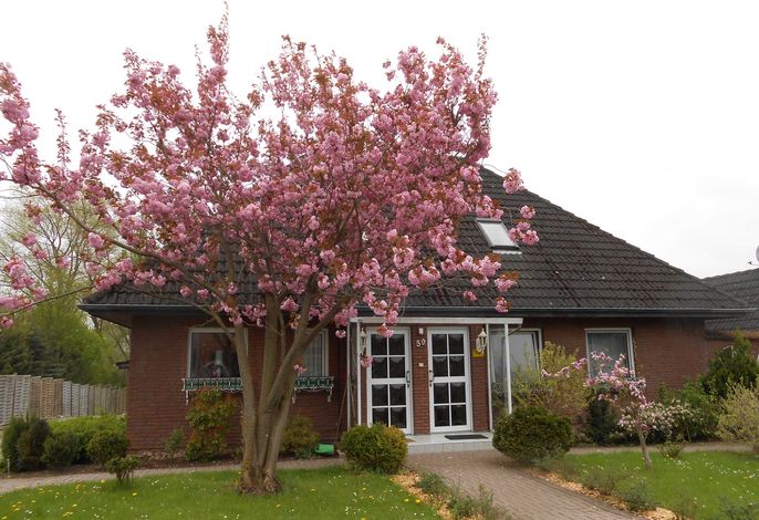 3-Raum, DG, 83m², Balkon