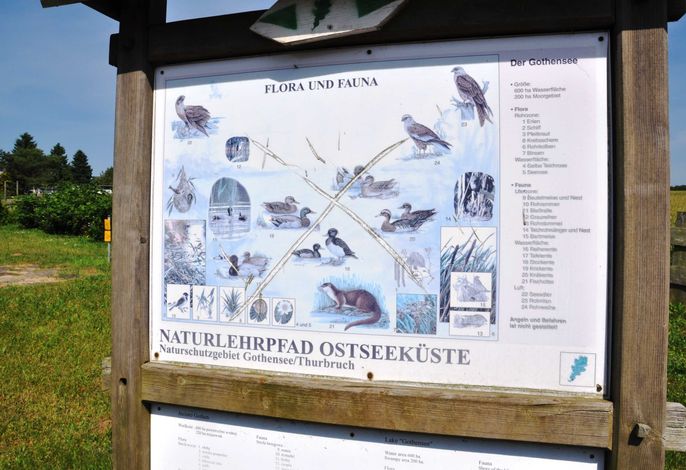Bild 16