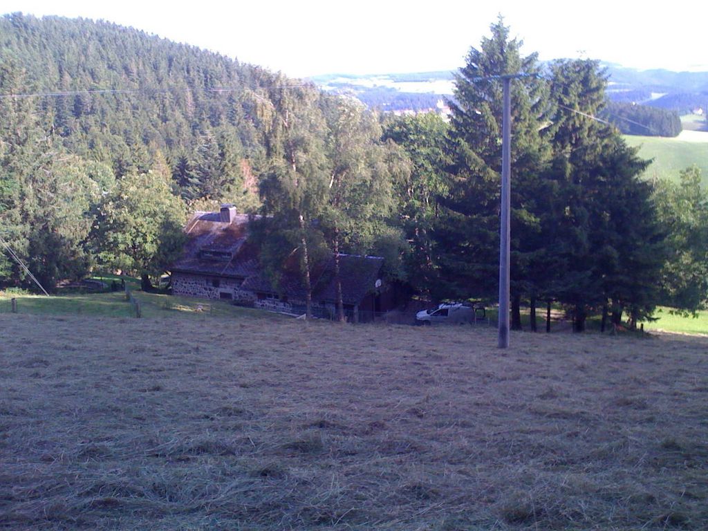 Ausblick