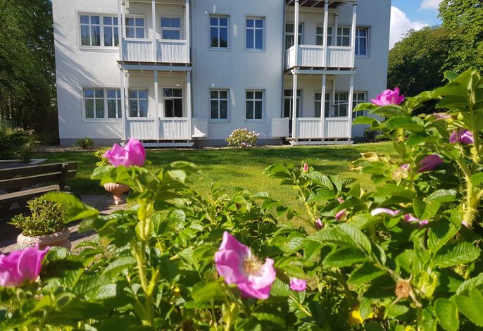 Bild 15