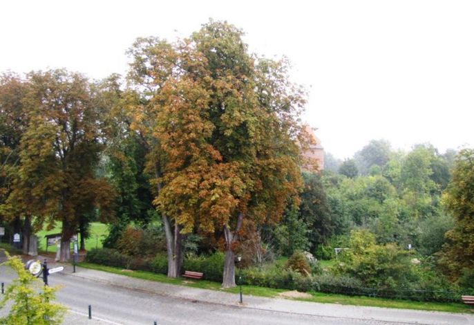 Ferienwohnung Hagin/Burgplatz – Foto 5