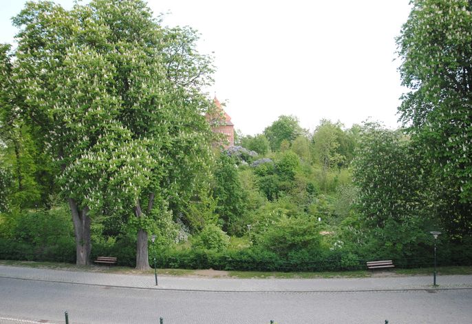 Ferienwohnung Hagin/Burgplatz – Foto 3