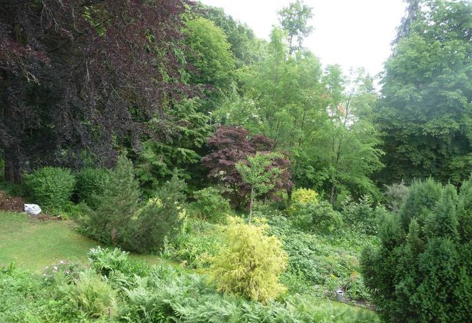 Villa Waldsaum – Foto 2
