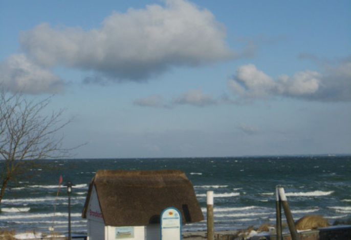 Bild 16