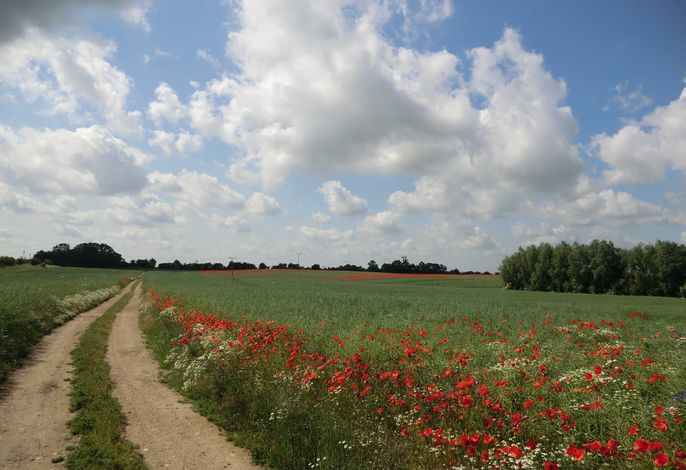 Bild 34
