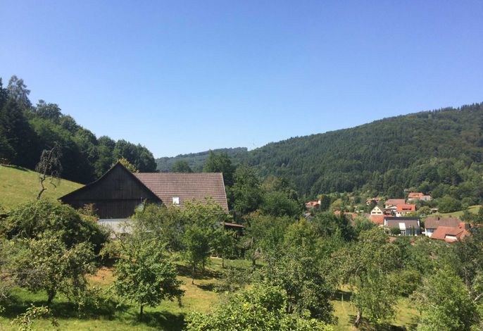 Bild 12