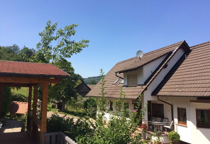 Bild 7