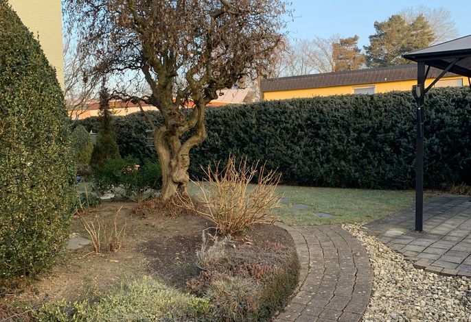 Bild 41