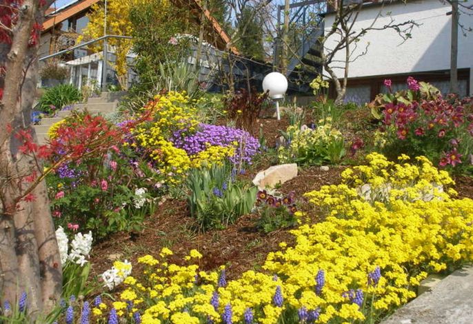 Bild 11