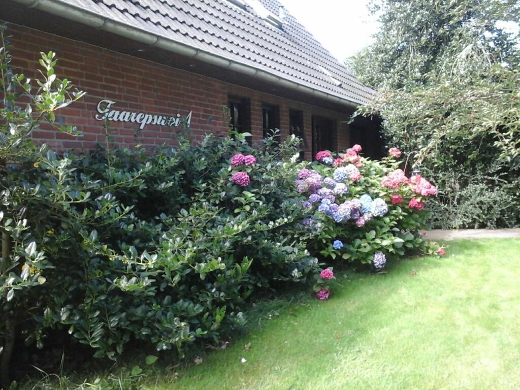 Ferienwohnung in Borgsum (oben rechts)
