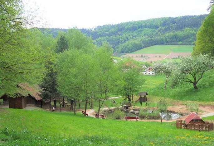 Bild 11