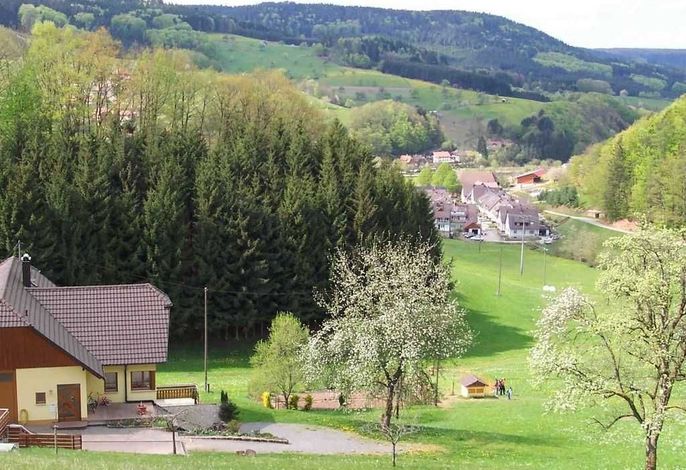 Bild 2