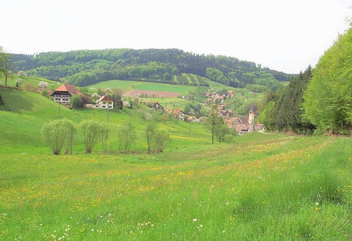 Bild 10