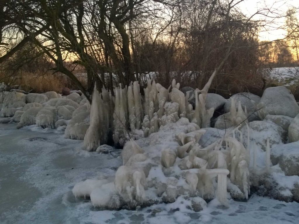 FEWO Seestern 205 in der Lagunenstadt