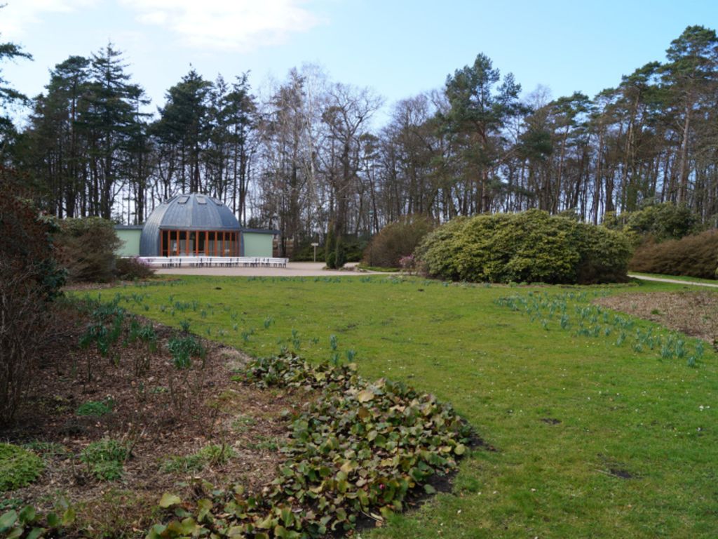 Küstenwald - Ferienwohnung Ostseeluft