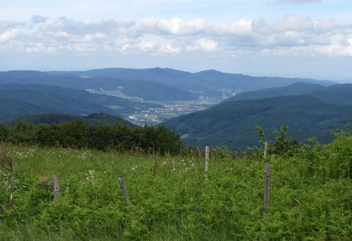 Bild 17