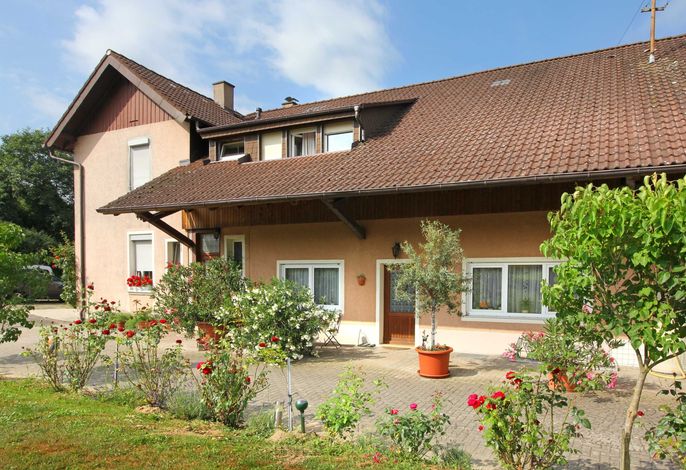 Bild 15