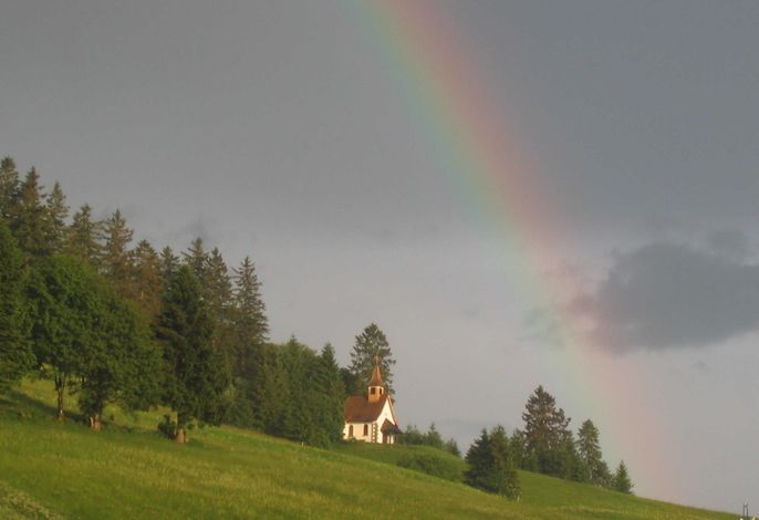 Bild 14