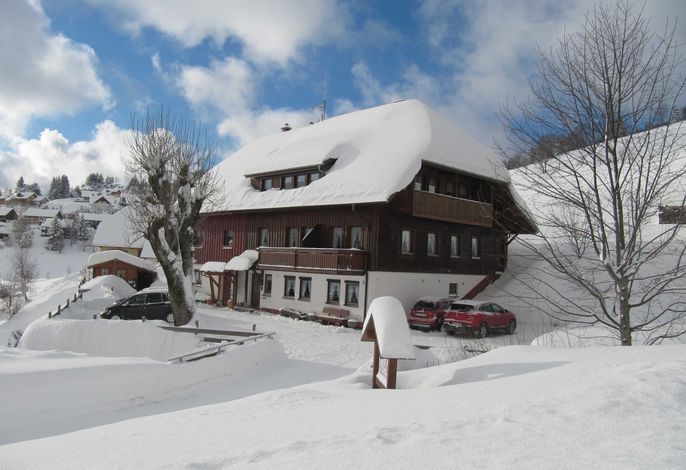 Bild 19