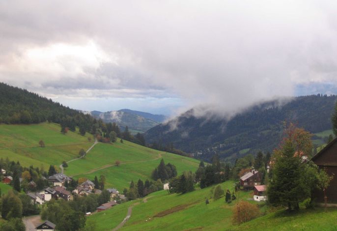 Bild 15