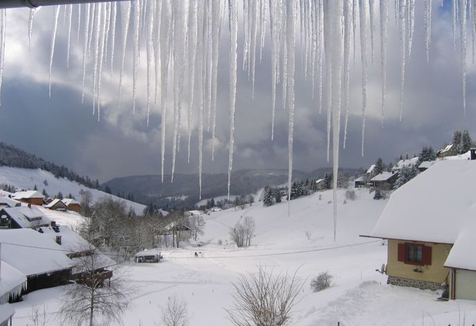 Bild 22