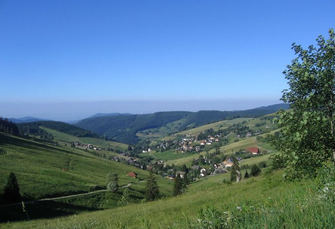 Bild 12