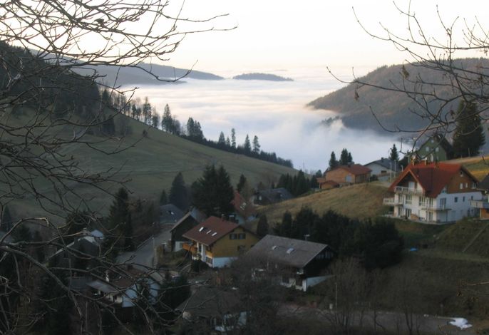 Bild 17