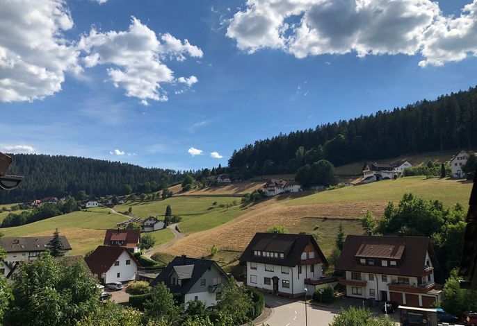 Bild 19