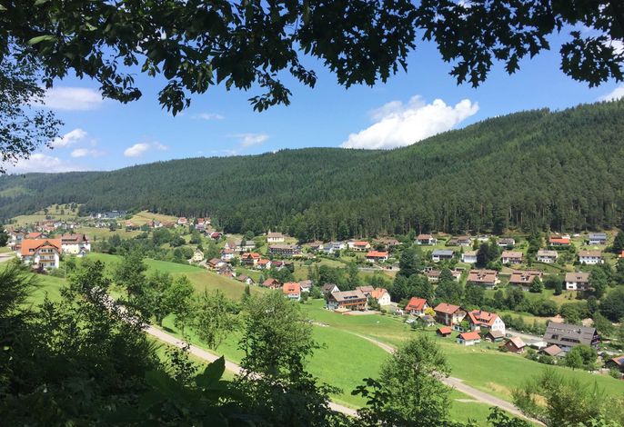 Bild 14
