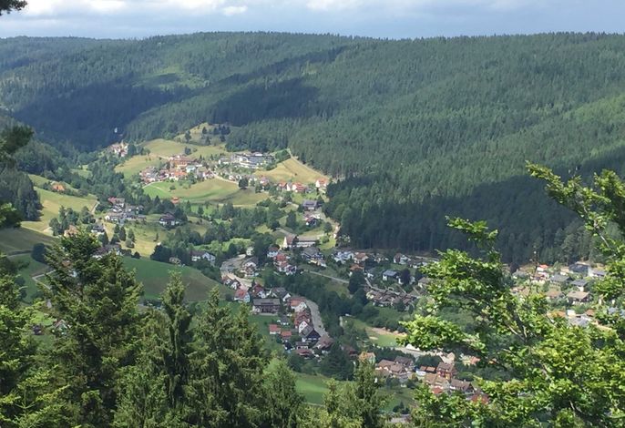 Bild 16