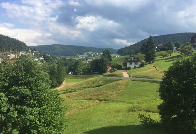 Bild 18