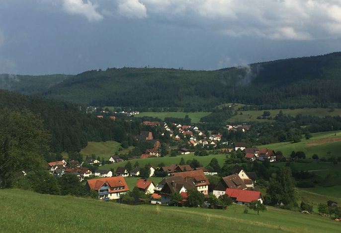Bild 17