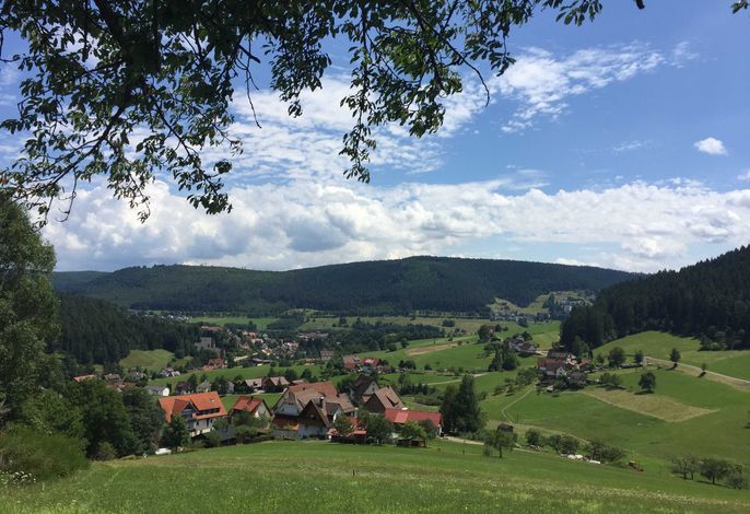 Bild 15