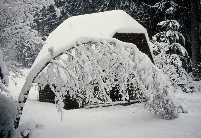Bild 20