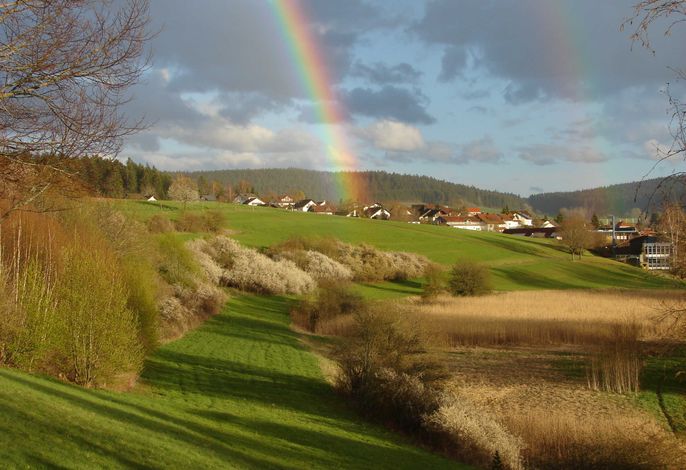 Bild 13