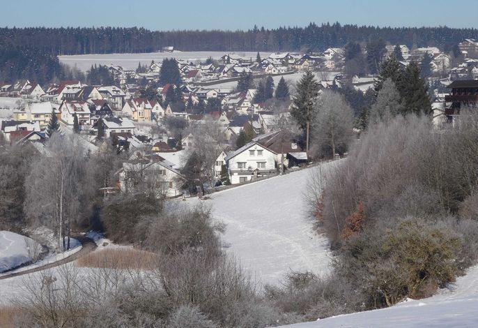 Bild 19