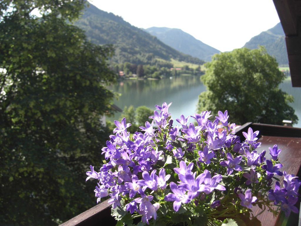 Blick vom Balkon