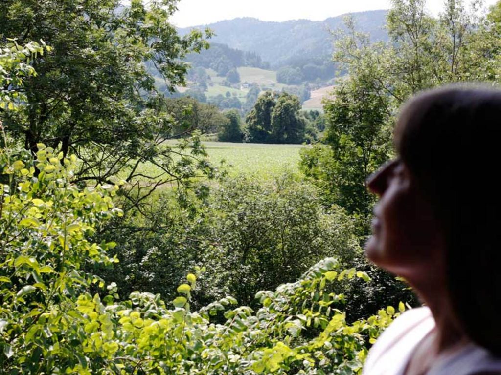 Ausblick