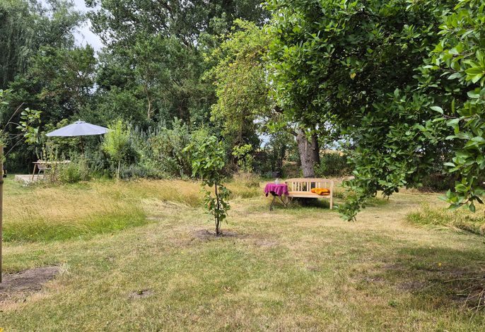 Blick über den Garten