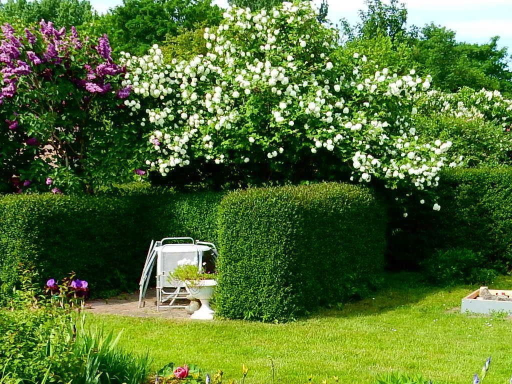 Garten, Außenansicht